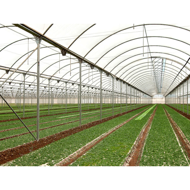 Пленка тепличная прозрачная Agro Save (150 мкм) шириной 16м