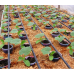 Стрічка крапельна 7 mil крок 15 см бухта 1000 метрів емітерна Shadow